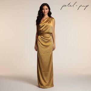 Petal & Pup Nadia One Shoulder Maxi Dress NWOT Brown Size 10